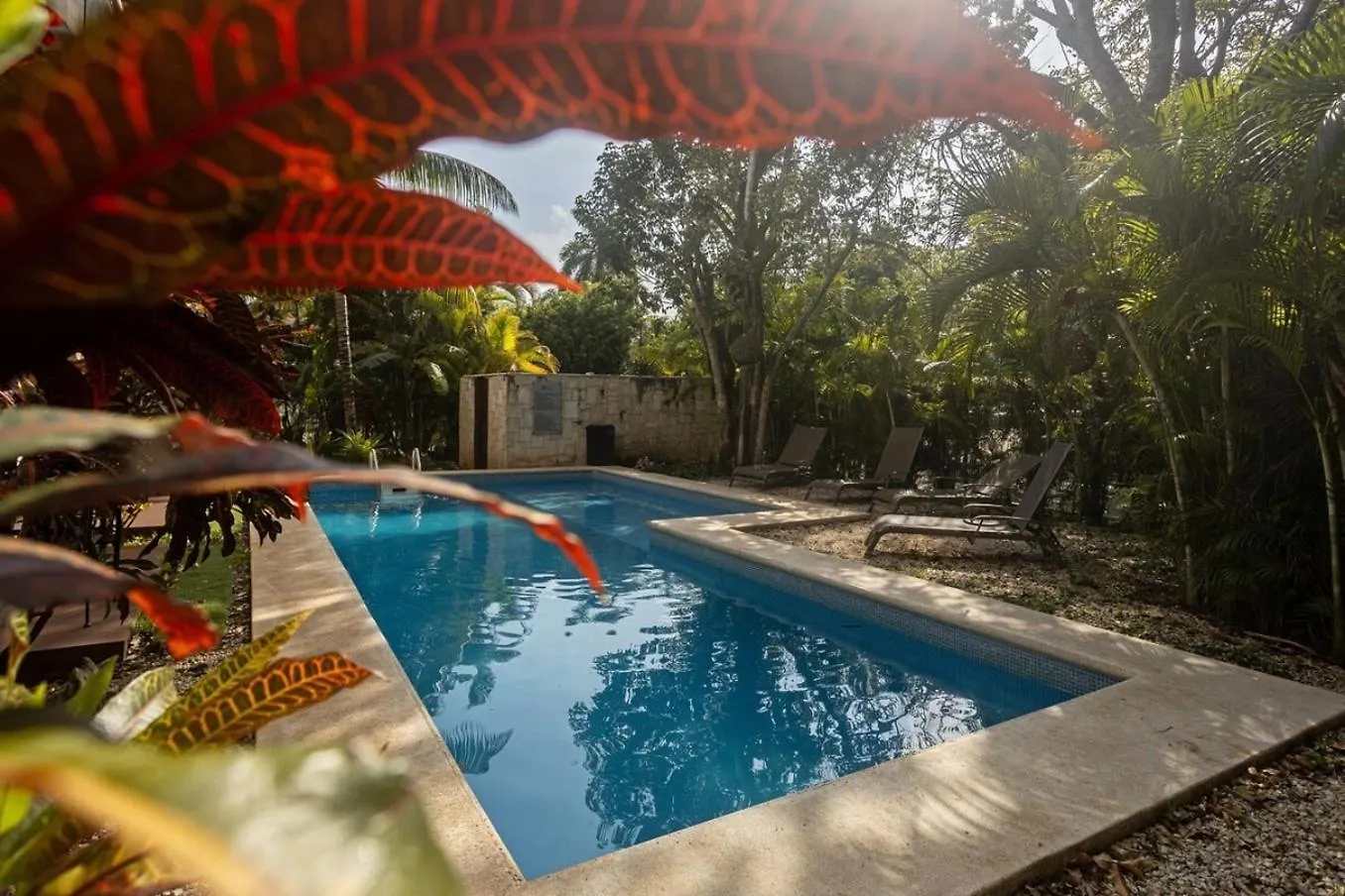 Lägenhet Playacar Master Suites, 2 Pools, Bbq, Beach 5 Min Playa del Carmen Mexiko