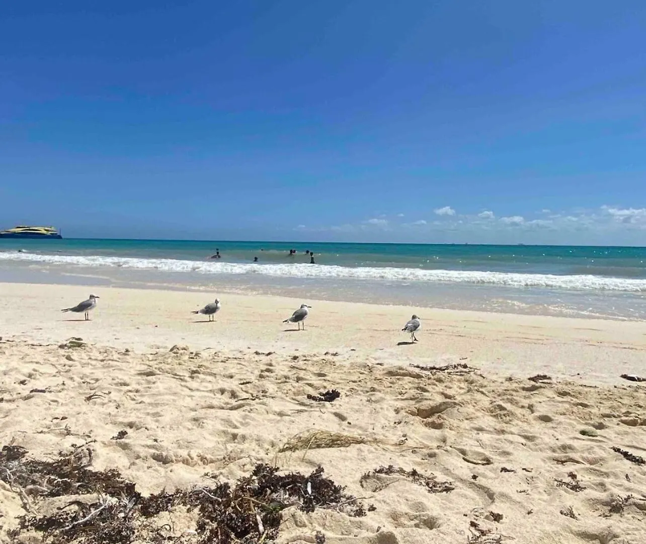 Lägenhet Playacar Master Suites, 2 Pools, Bbq, Beach 5 Min Playa del Carmen